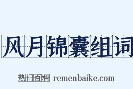 风月锦囊组词是什么意思的图片